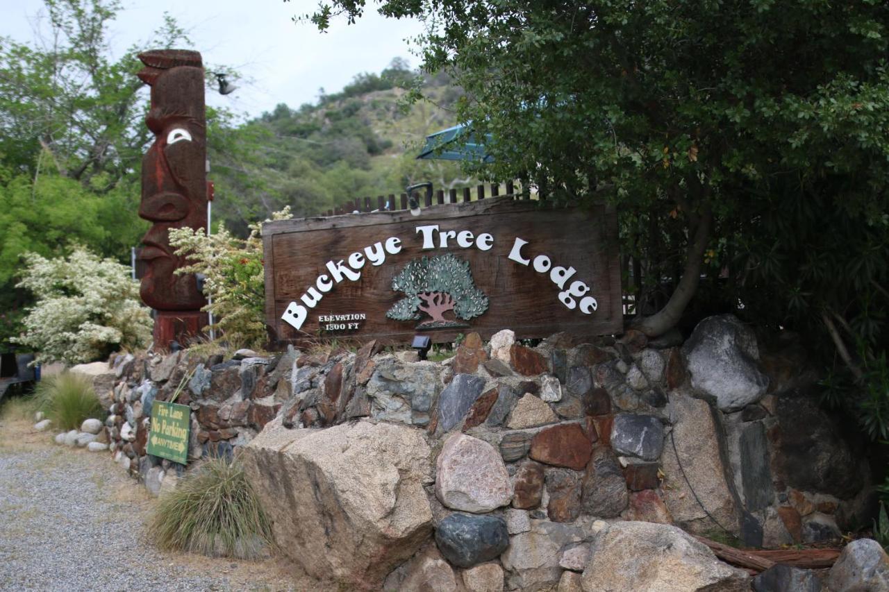 Buckeye Tree Lodge Three Rivers Exterior foto